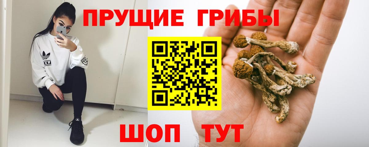 Асбест  Псилоцибиновые грибы GOLDEN TEACHER  Псилоцибиновые грибы прущие грибы  Вход с VPN 